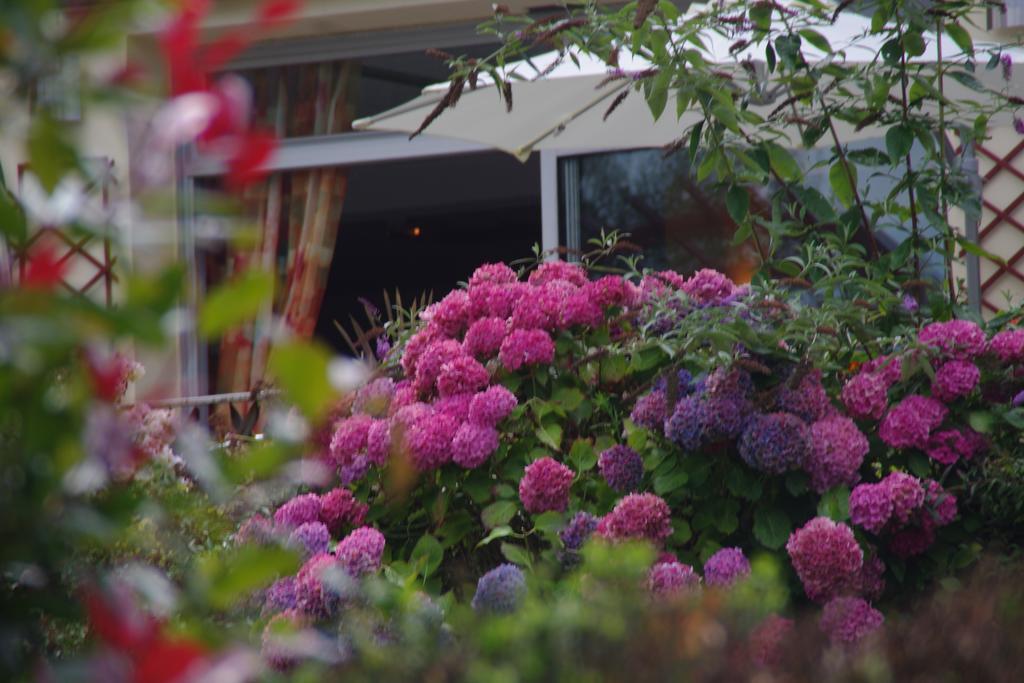 Hotel Le Roudou Fouesnant Ngoại thất bức ảnh